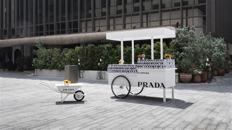 prada pop up fiori|prada flower seeds.